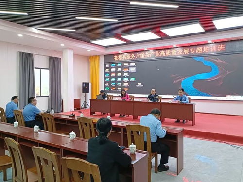 苍梧县市场监管局优化服务助力六堡茶产业高质量发展