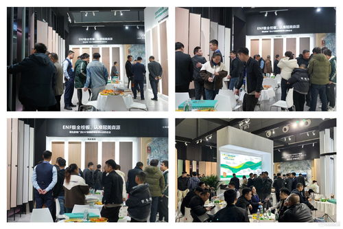 冠美森源ENF级系列产品闪耀长沙建博会，即将亮相广州定制家居展